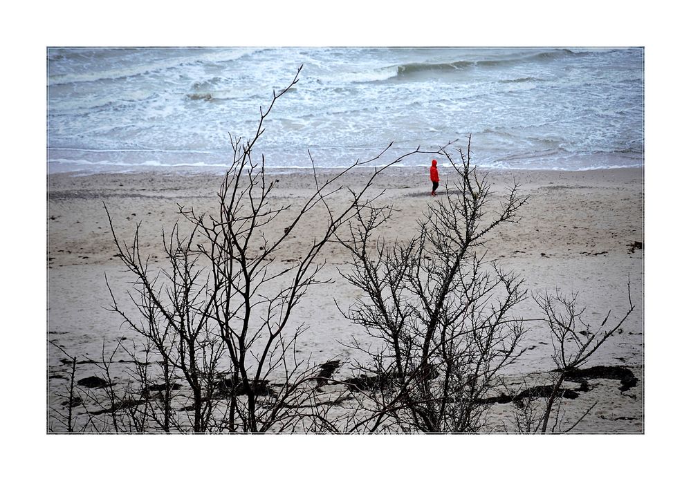 Weihnachten an der Ostsee Foto &amp; Bild | deutschland, europe