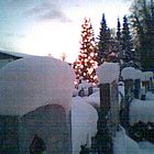 Weihnachten auf dem Friedhof