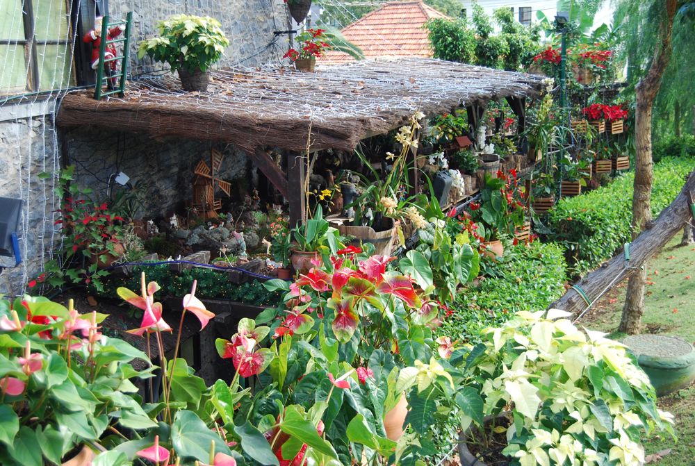 Weihnachten auf Madeira