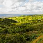 Weihnachten auf Sardinien / Natale in Sardegna (2)