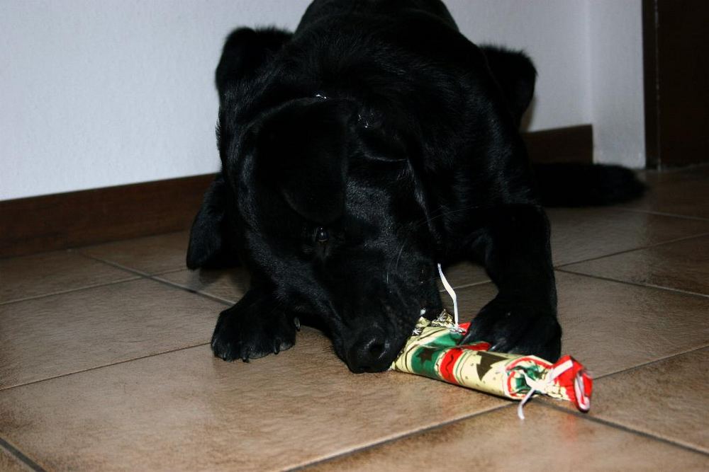 Weihnachten bei uns zu Hause