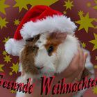 Weihnachten