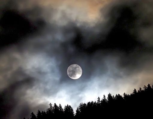 Weihnachten, das Fest der Hoffnung!