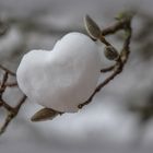 Weihnachten findet im Herzen statt...