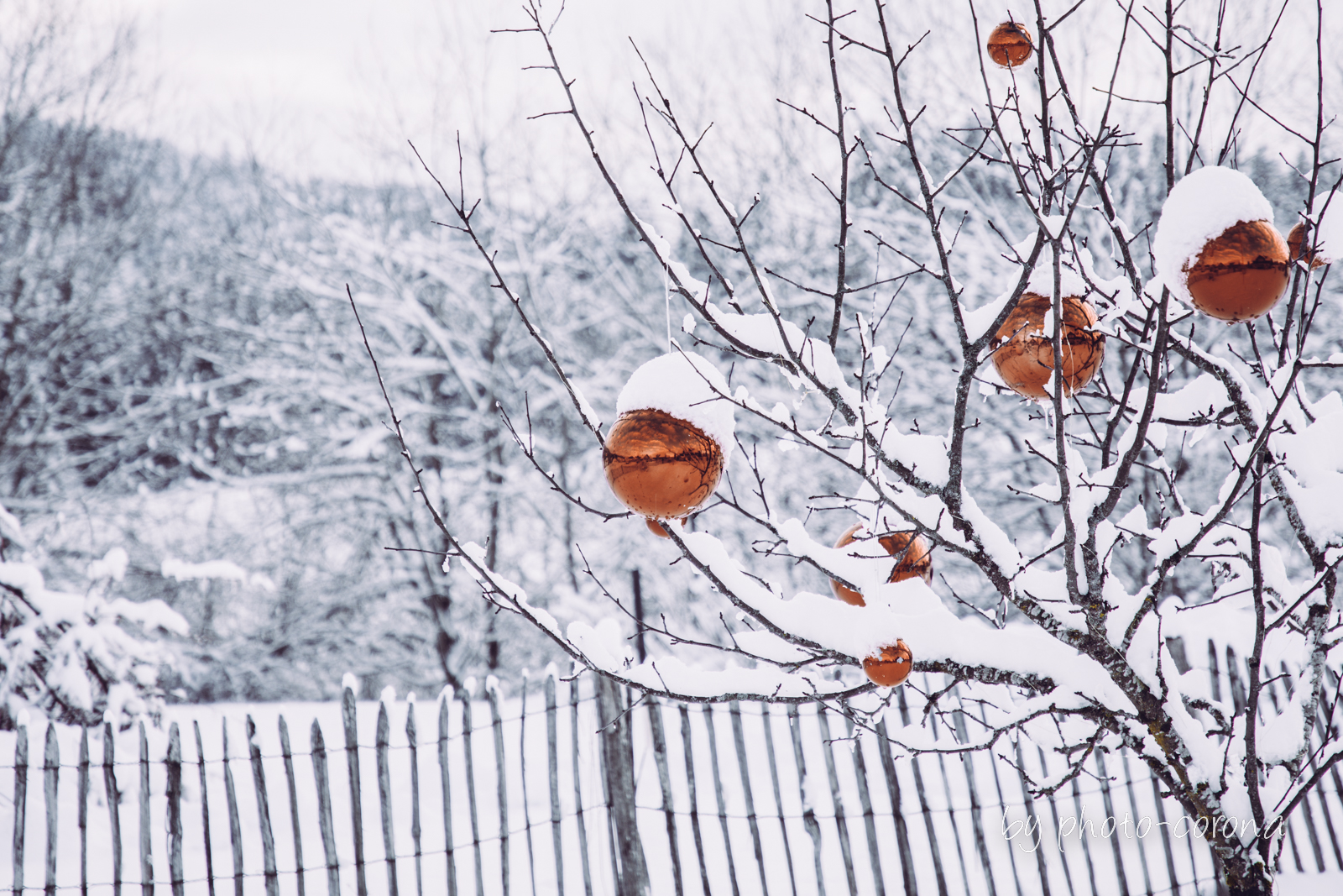 Weihnachten im Allgäu