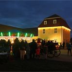 Weihnachten im Barockschloss Hohenprießnitz (5)