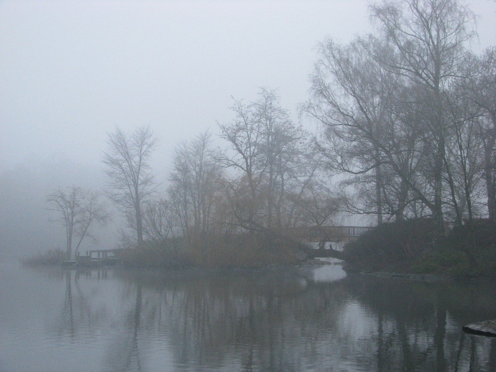 Weihnachten im Kieler Schrevenpark