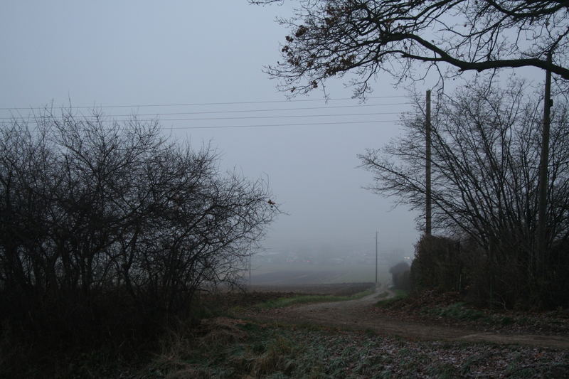 Weihnachten im Nebel