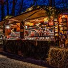 Weihnachten im Schluss Thurn und Taxis Regensburg