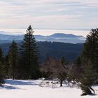 Weihnachten im Schnee