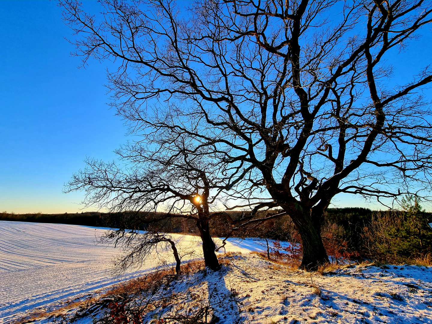 Weihnachten im Schnee