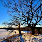 Weihnachten im Schnee