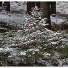 Weihnachten im Wald 1,