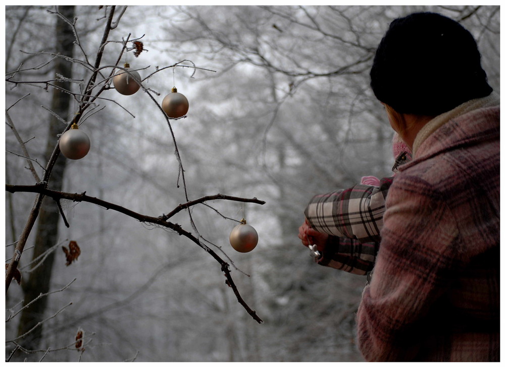 *weihnachten im wald*