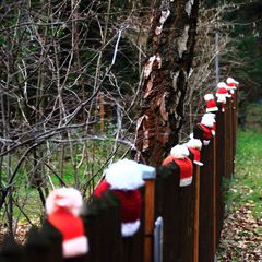 Weihnachten im Zwergenwald