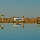 Weihnachten in den Everglades