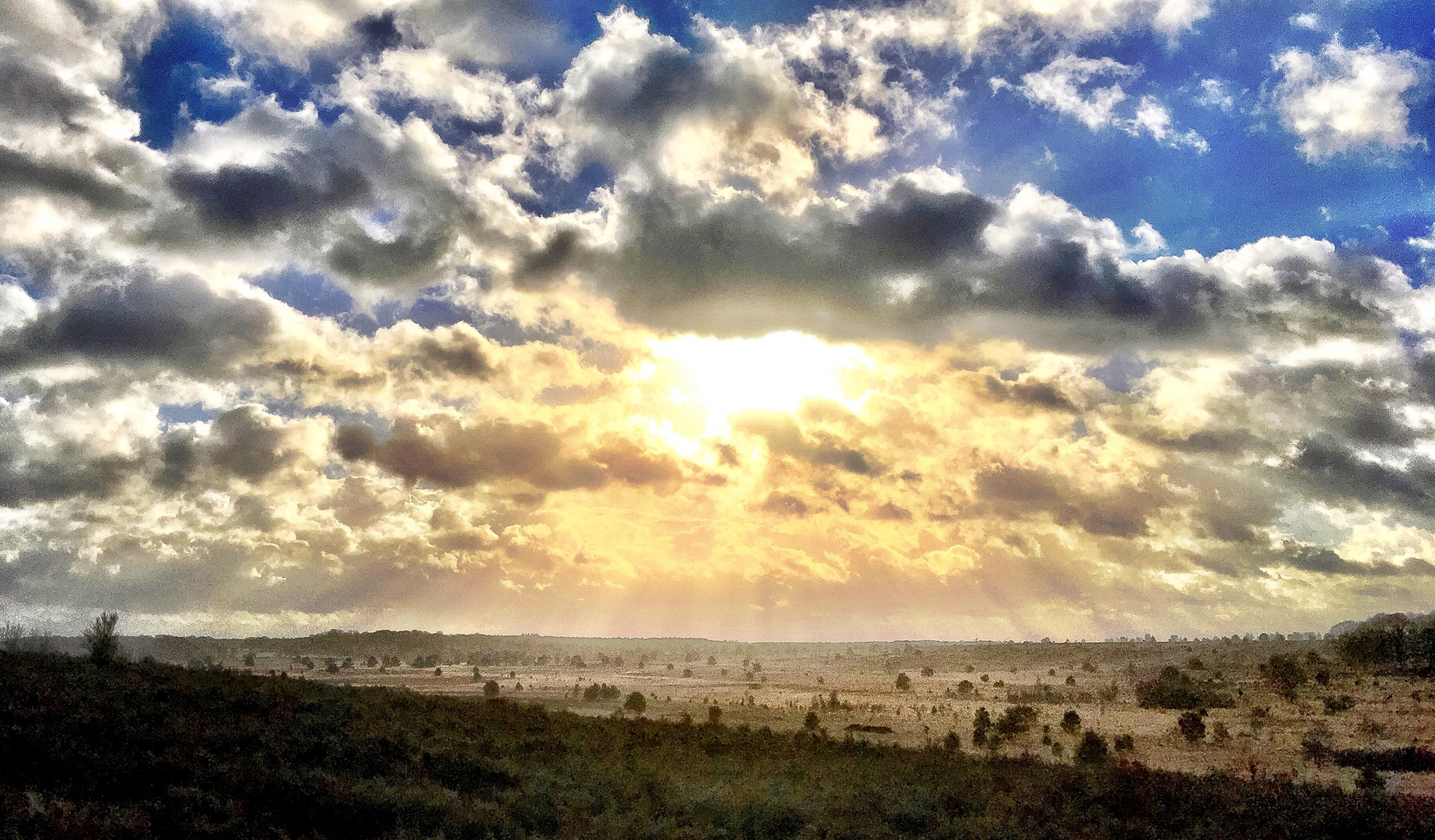 Weihnachten in der Heide