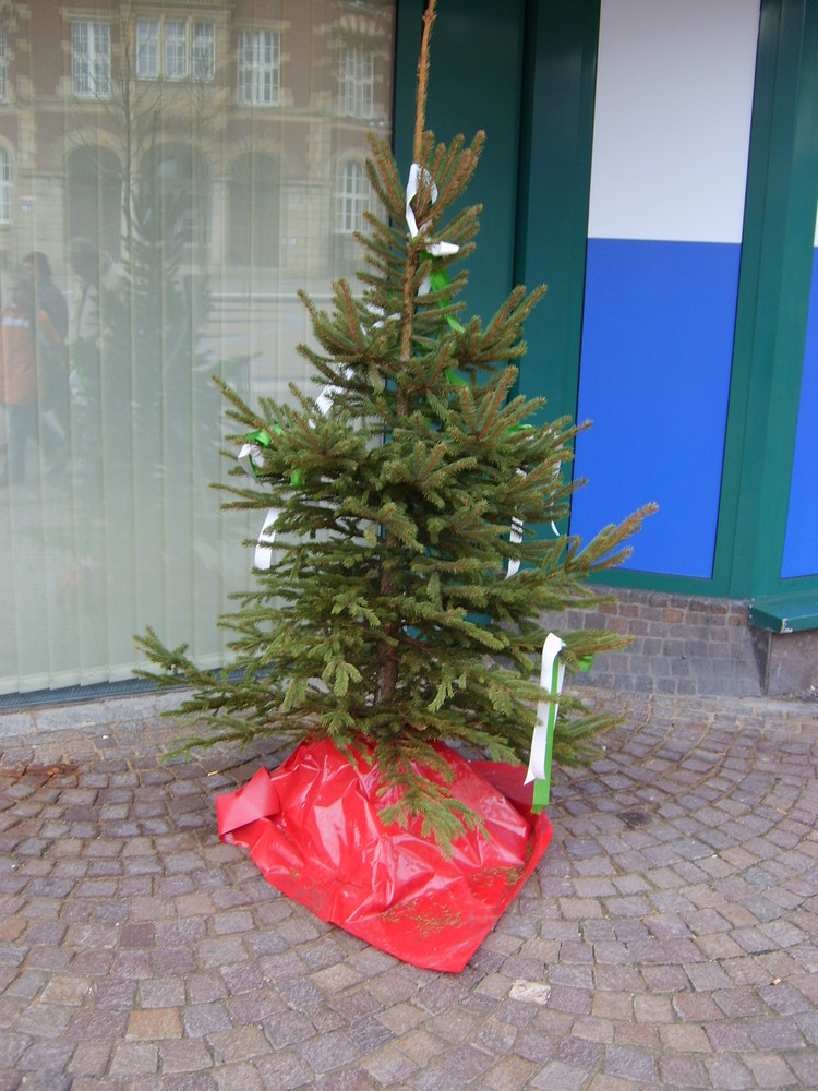 Weihnachten in Gelsenkirchen