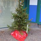 Weihnachten in Gelsenkirchen