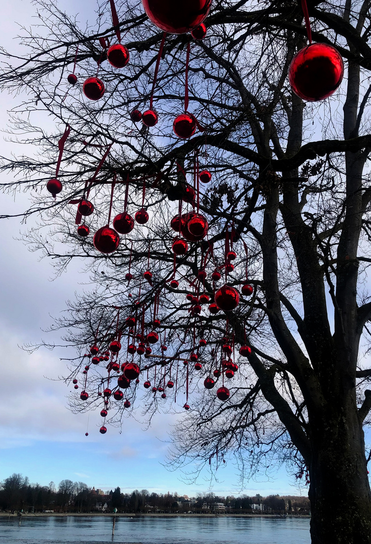 Weihnachten in Konstanz 