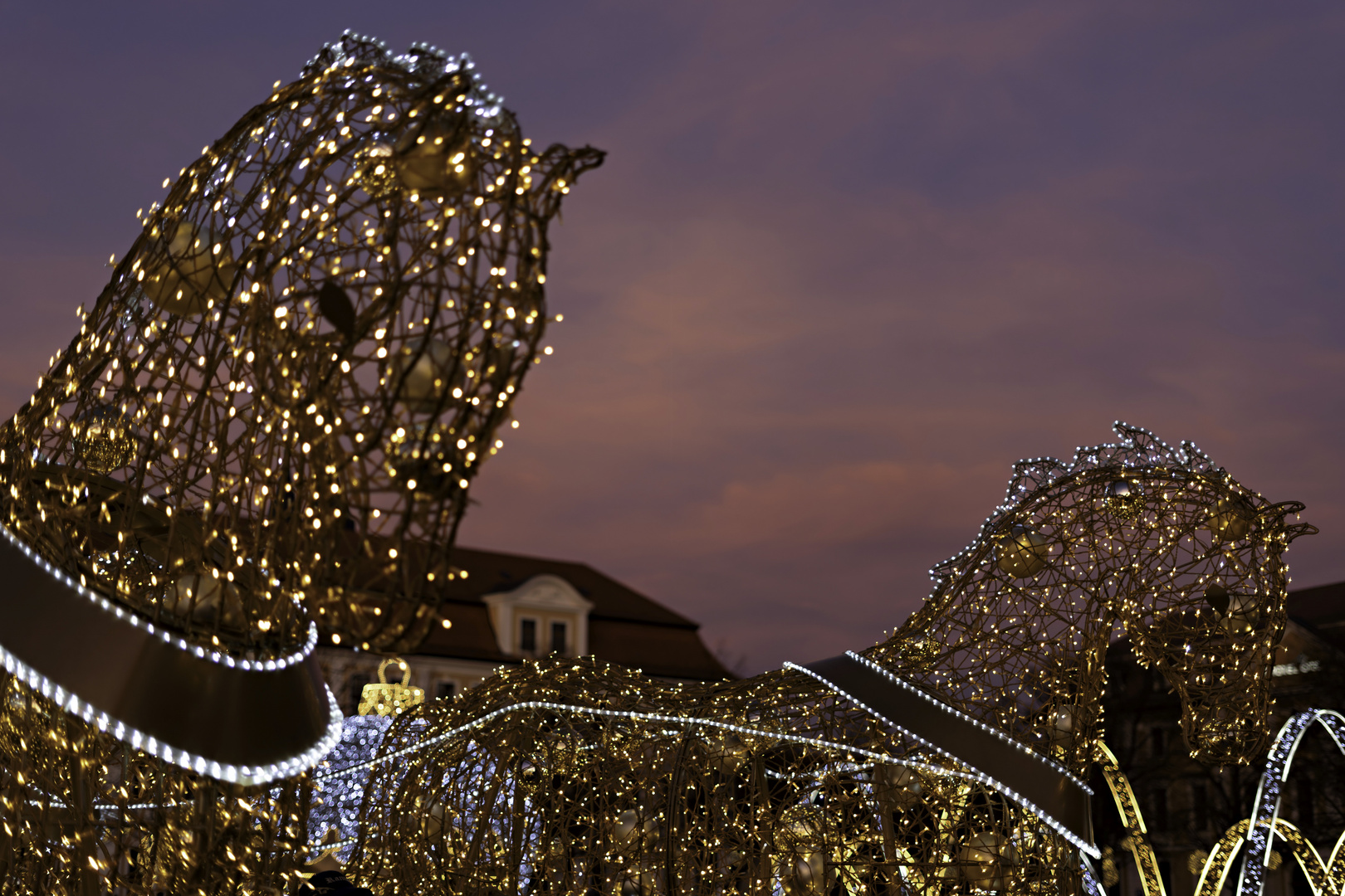 Weihnachten in Machdeburch (Magdeburg)