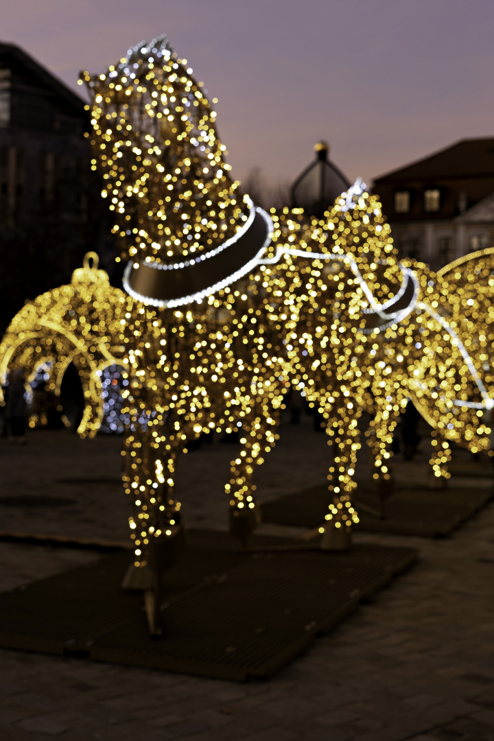 Weihnachten in Machdeburch (Magdeburg)