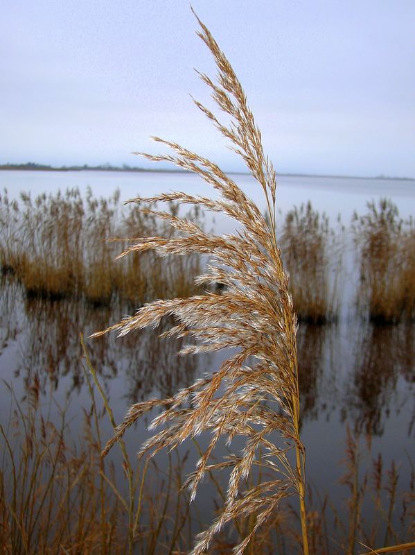 Weihnachten in Ostfriesland