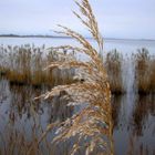 Weihnachten in Ostfriesland