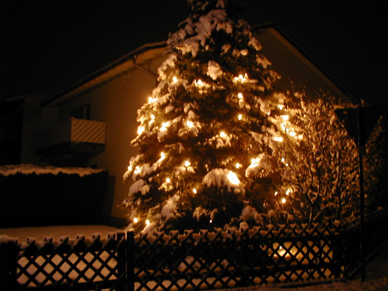 Weihnachten in weiss