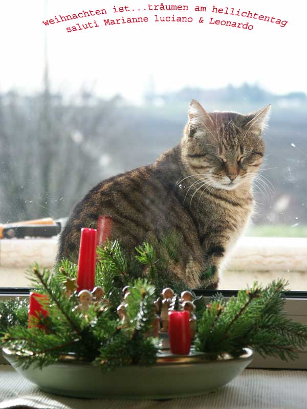 weihnachten ist!!!!!!! von Luciano Nardin