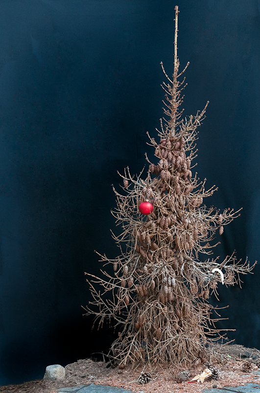 Weihnachten ist lange her.  -   Es weihnachtet sehr!