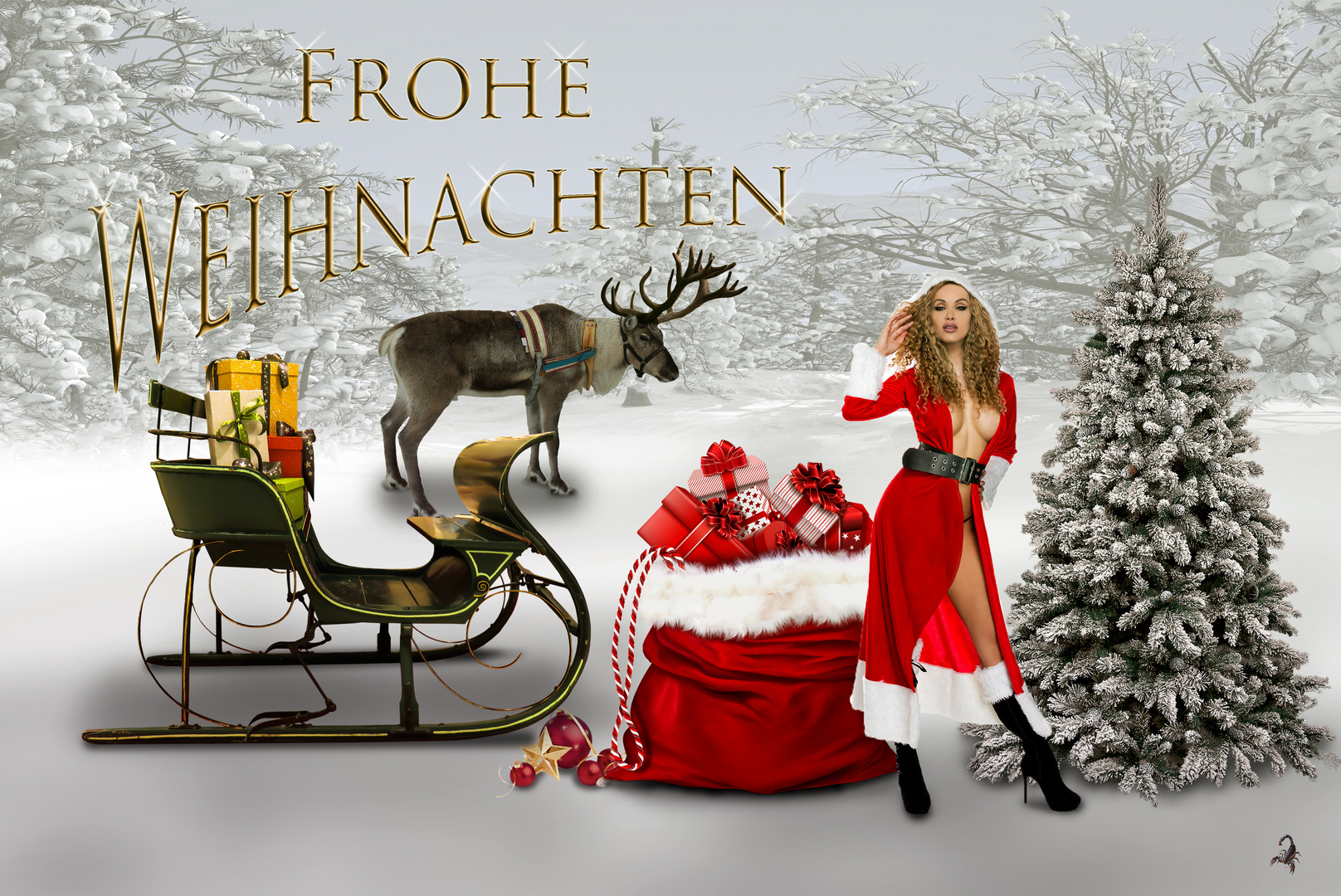 Weihnachten kann eigentlich nur schön werden..... Foto & Bild