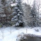 Weihnachten kann kommen: Blick soeben aus meinem Arbeitszimmer II