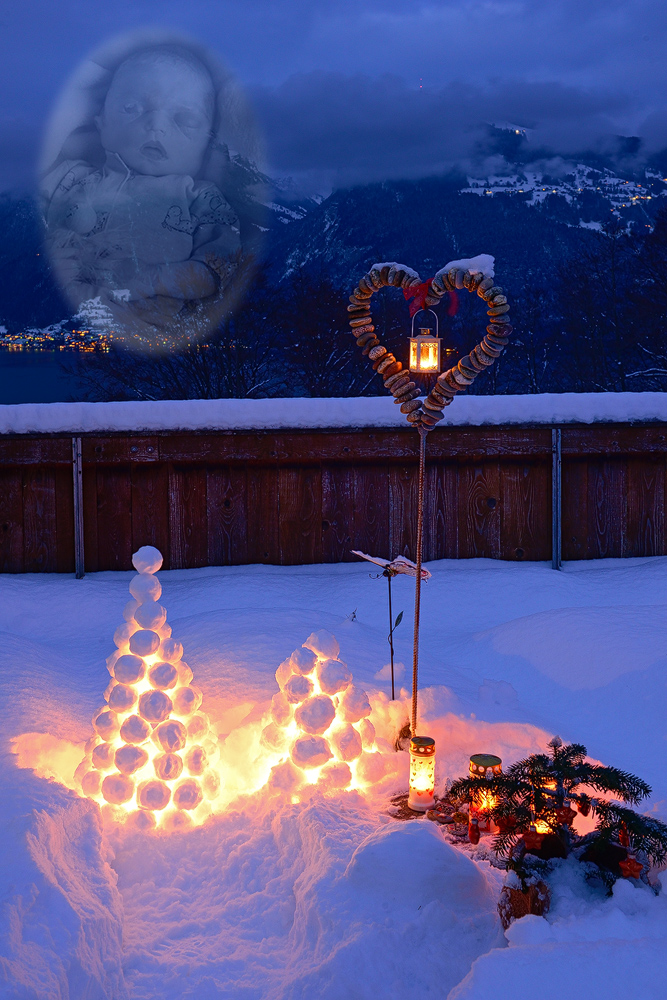 Weihnachten Mit Der Sternenlara Foto Bild Weihnachten Spezial Trauer Bilder Auf Fotocommunity