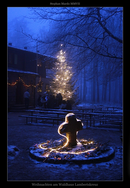 Weihnachten mitten im Pfälzer Wald