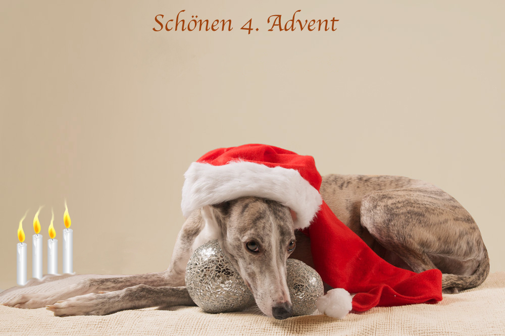 Weihnachten naht....