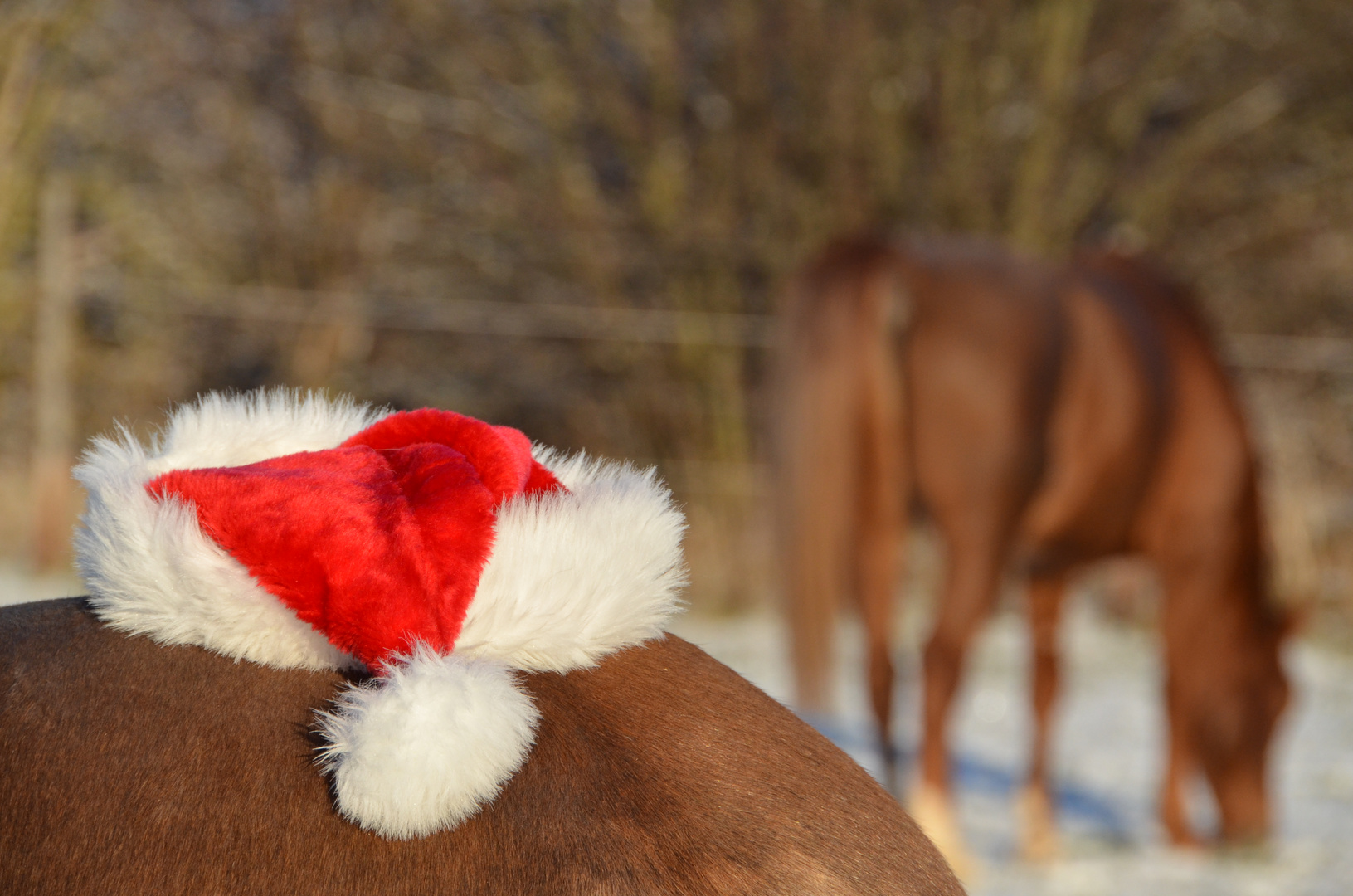 Weihnachten naht ...