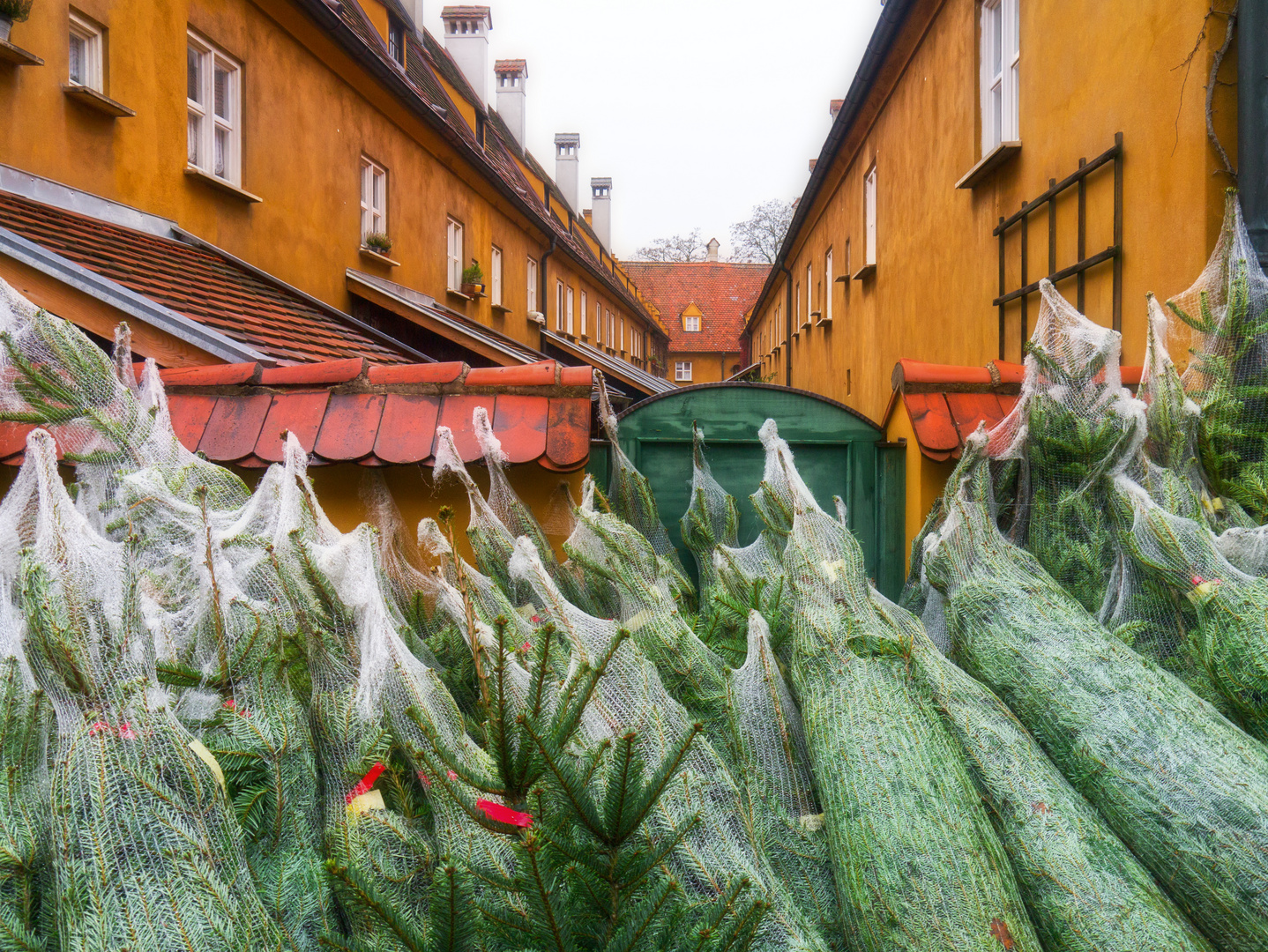 Weihnachten steht vor der Tür