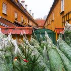 Weihnachten steht vor der Tür