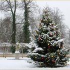 Weihnachten steht vor der Tür