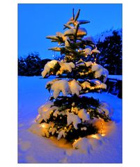 Weihnachten und Schnee - so soll es sein :-)