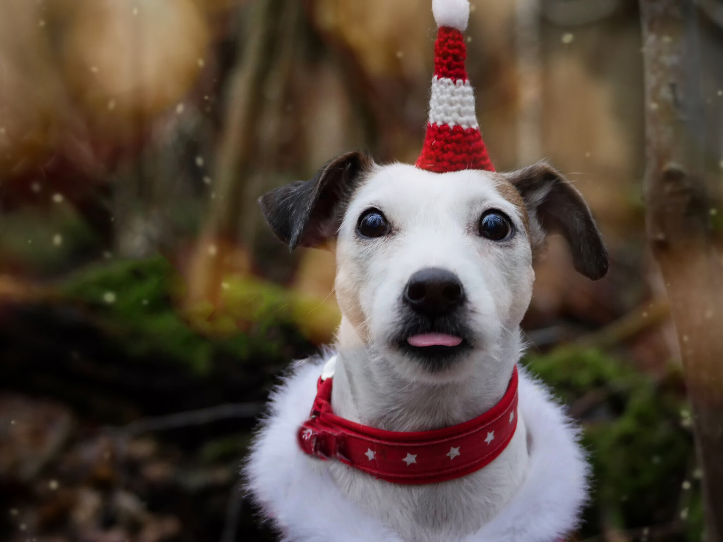 Weihnachten vorbei...