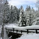 Weihnachten wie es früher einmal war