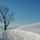 weihnachten wie es sein soll