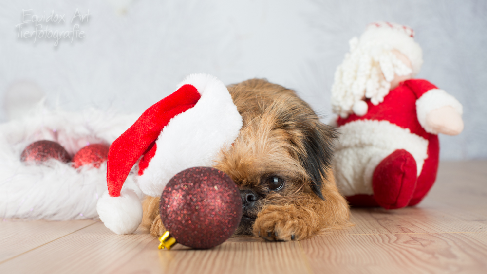 Weihnachtlich...