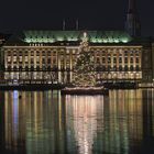 Weihnachtliche Alster "Standard Motiv" # 3