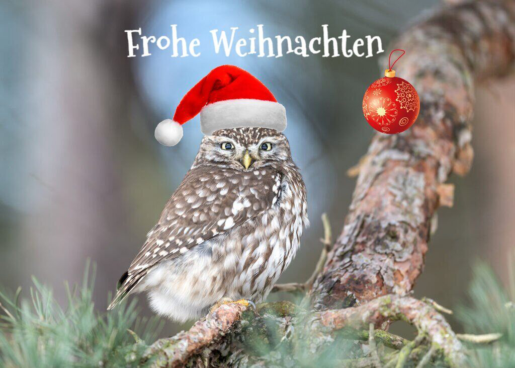 weihnachtliche Athene