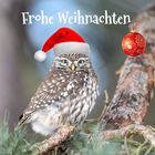 weihnachtliche Athene