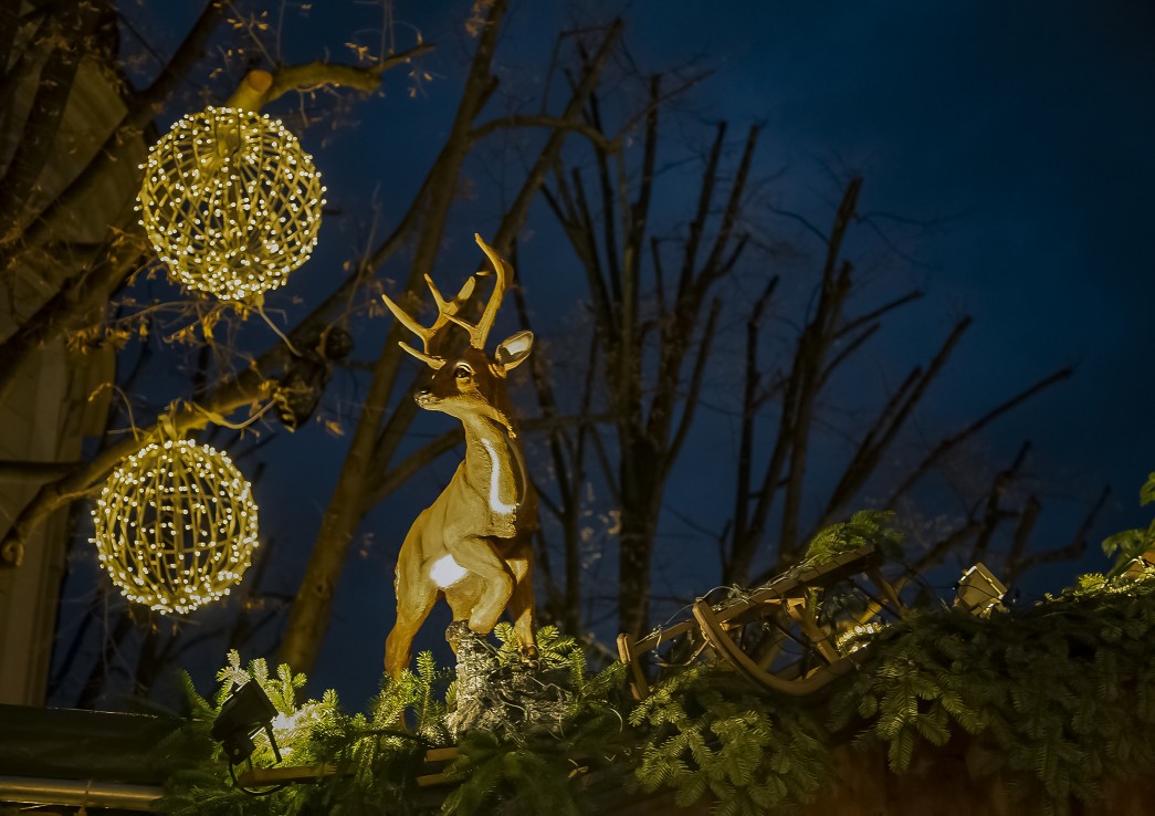 weihnachtliche impressionen