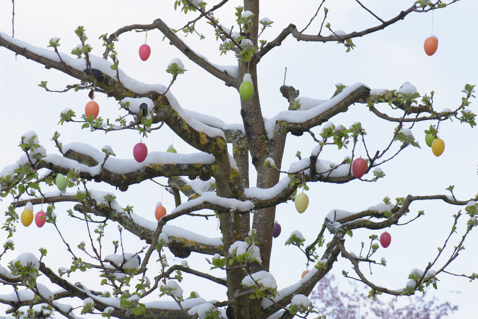 Weihnachtliche Ostern